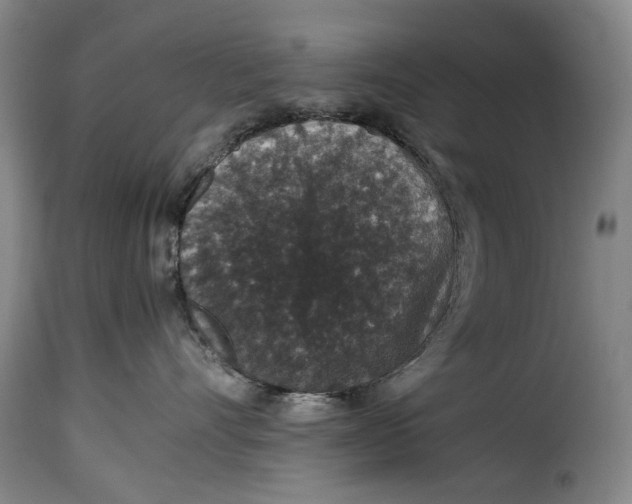 X0000115370528200911241243