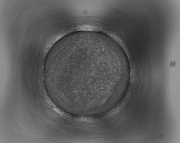 X0000115370529200911241242
