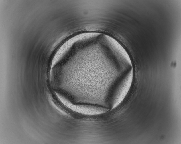 X0000115370530200911241242