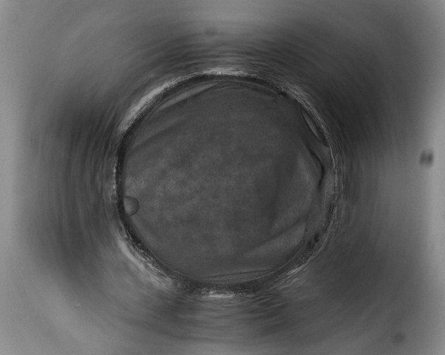 X0000115370531200911241242