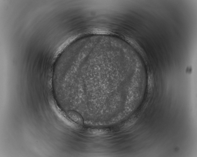 X0000115370533200911241242