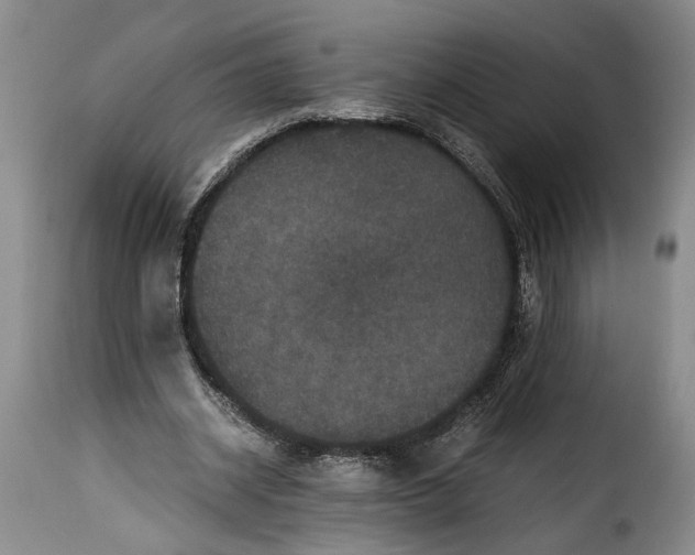 X0000115370534200911241242