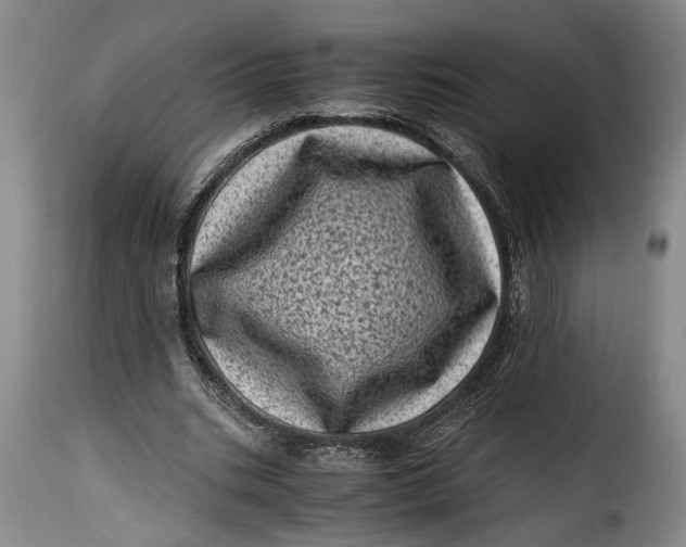 X0000115370535200911241242