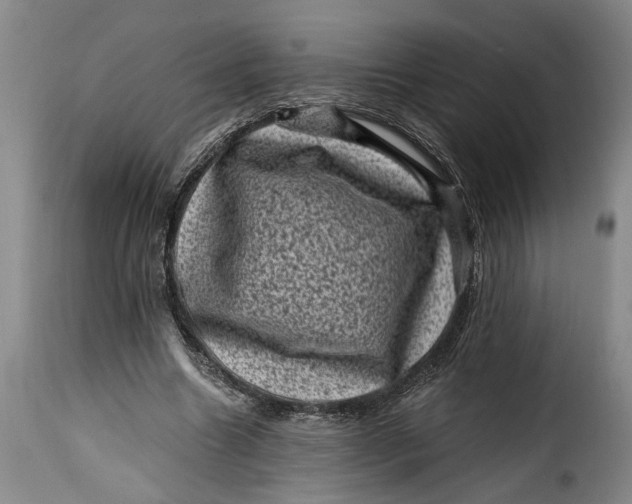 X0000115370538200911241243
