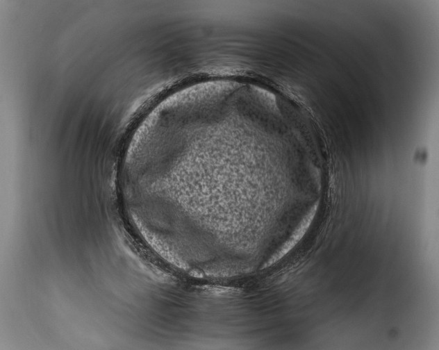 X0000115370539200911241243