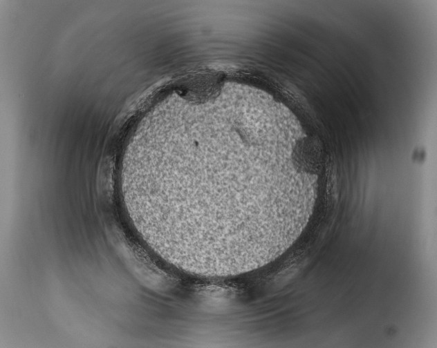 X0000115370542200911241243