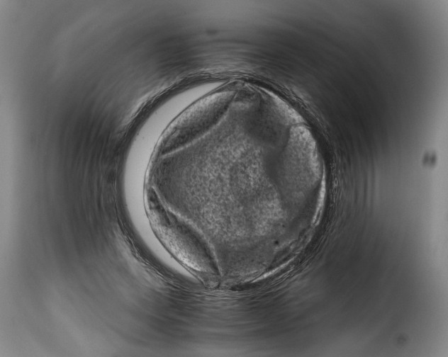 X0000115370543200911241243