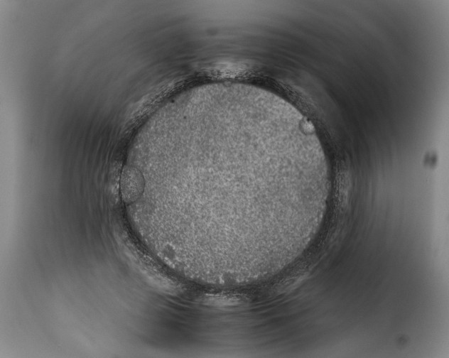 X0000115370545200911241243