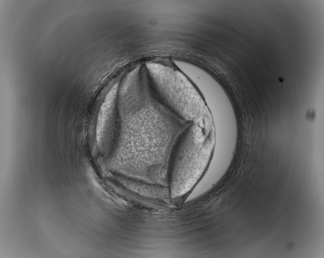 X0000115370546200911241243
