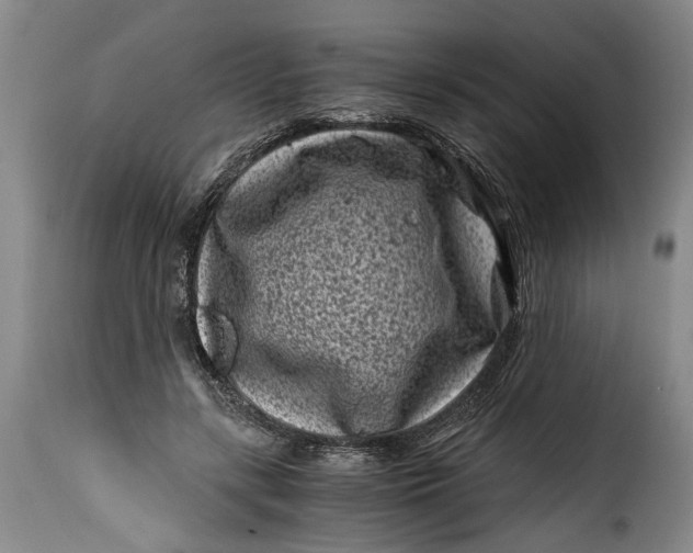 X0000115370547200911241243