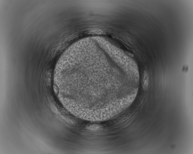 X0000115370551200911241243
