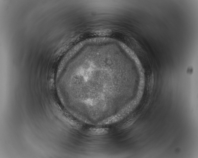 X0000115370553200911241243