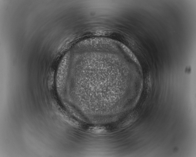 X0000115370554200911241243