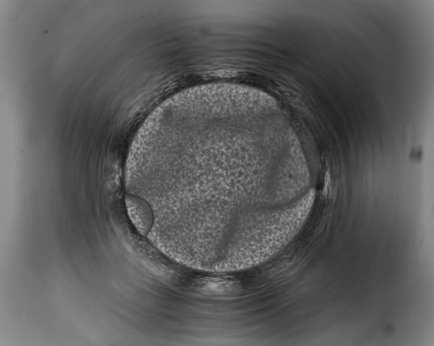X0000115370555200911241243