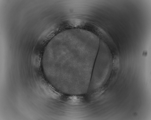 X0000115370558200911241243