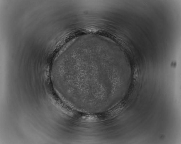 X0000115370559200911241243