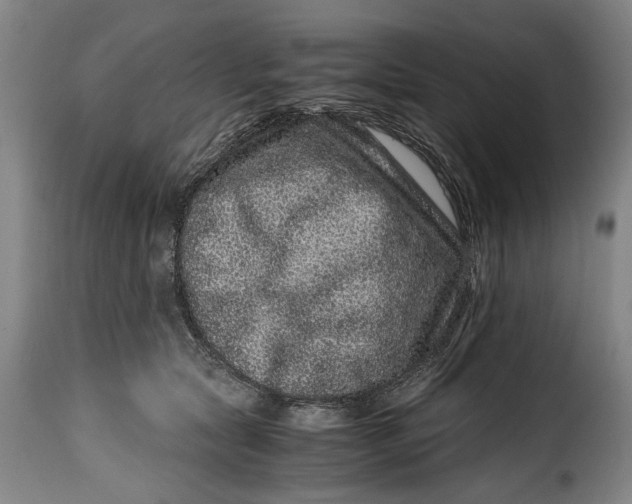 X0000115370561200911241243