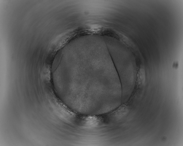 X0000115370562200911241243