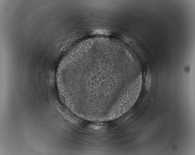 X0000115370563200911241243
