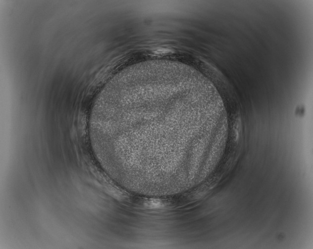 X0000115370565200911241243