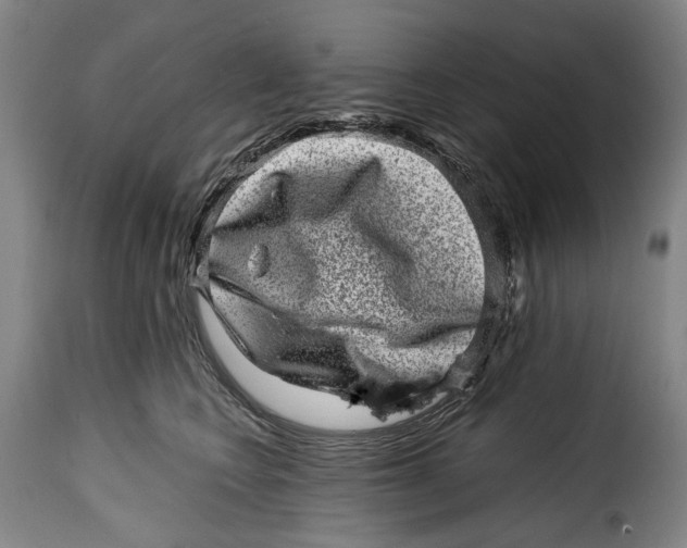 X0000115370566200911241243