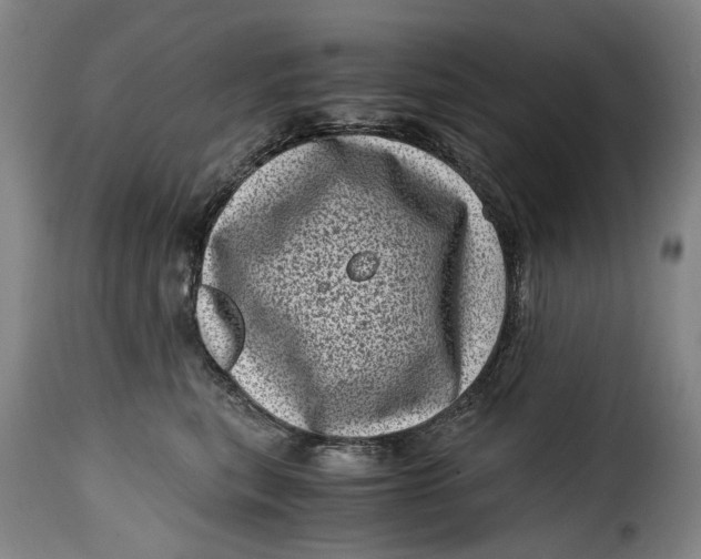 X0000115370567200911241243