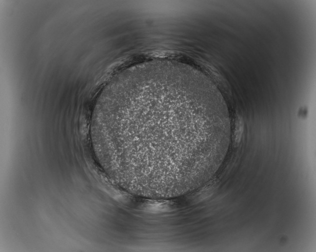 X0000115370569200911241243