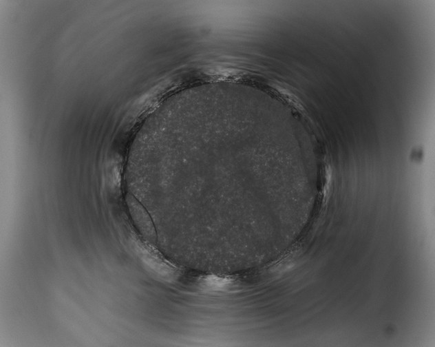 X0000115370570200911241243