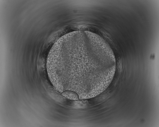 X0000115370571200911241243