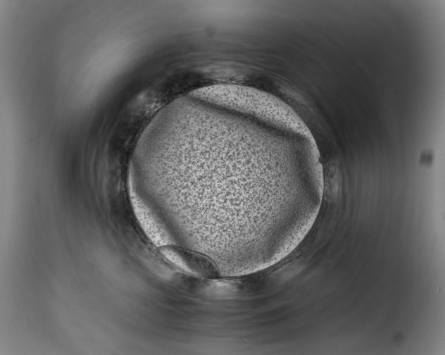 X0000115370573200911241243