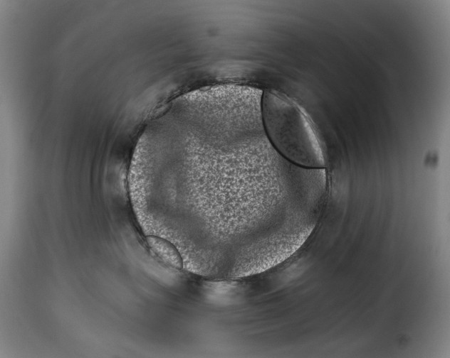 X0000115370575200911241243