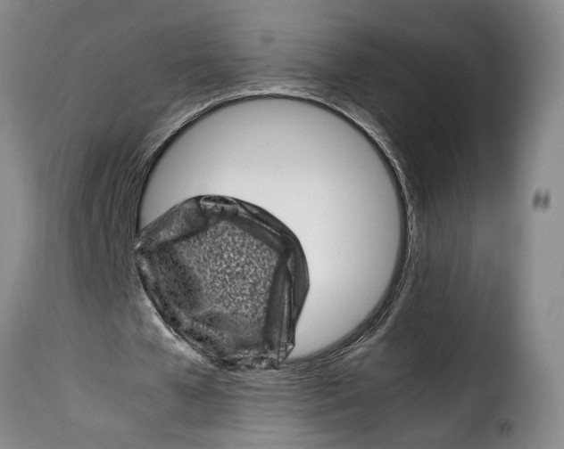 X0000115370577200911241242