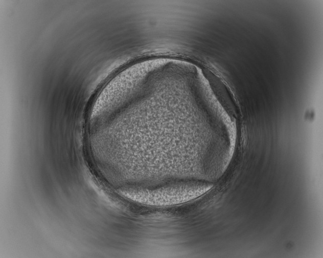 X0000115370578200911241242