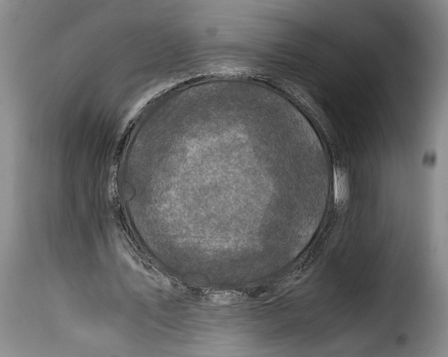 X0000115370579200911241242
