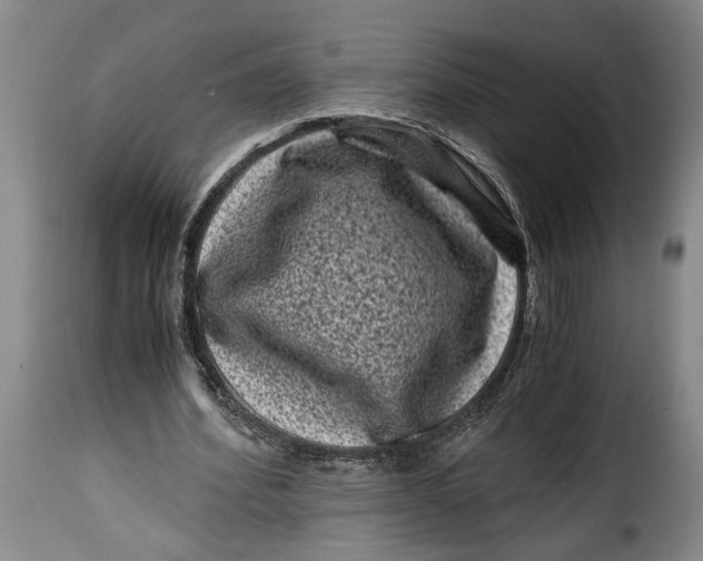 X0000115370580200911241242