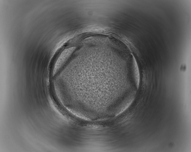 X0000115370582200911241242