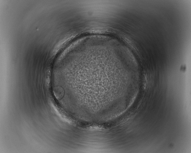 X0000115370586200911241242