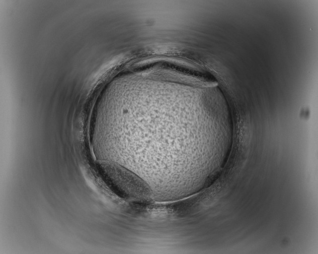 X0000115370587200911241242