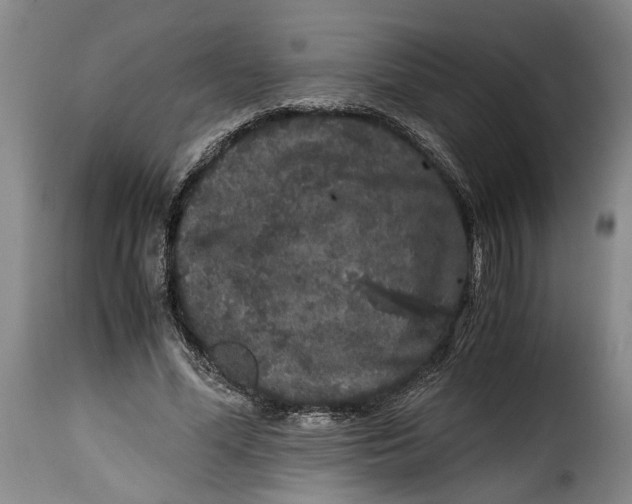 X0000115370588200911241242