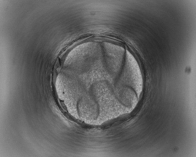 X0000115370589200911241242