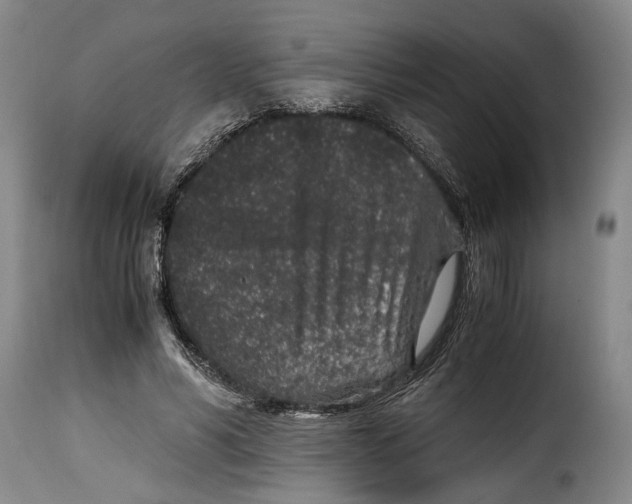 X0000115370590200911241242