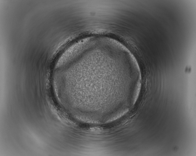 X0000115370591200911241242