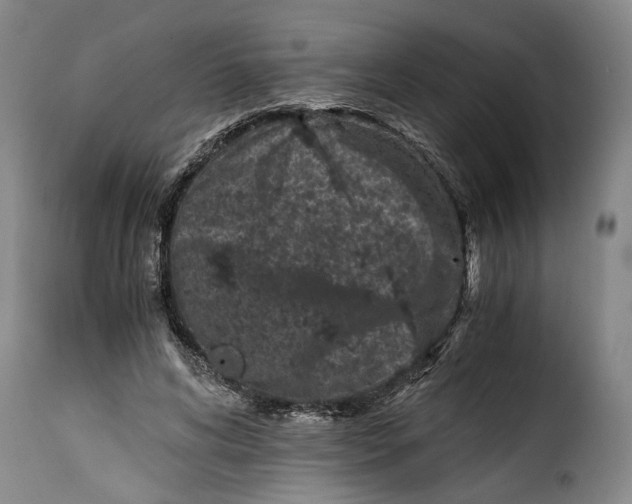 X0000115370592200911241242