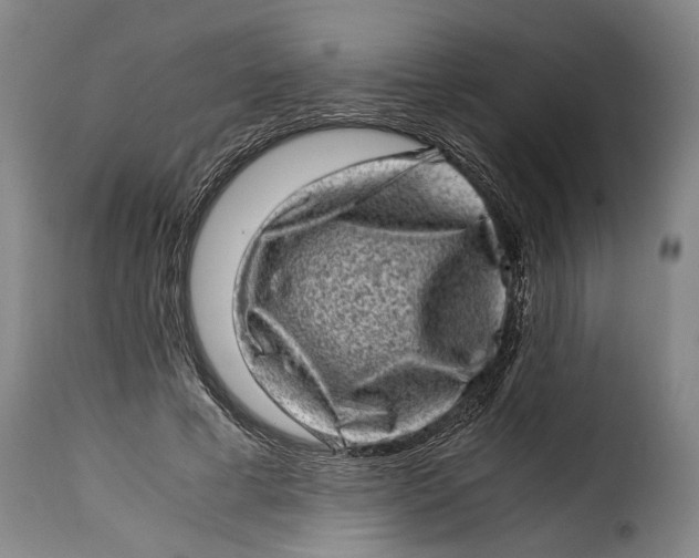 X0000115370593200911241242