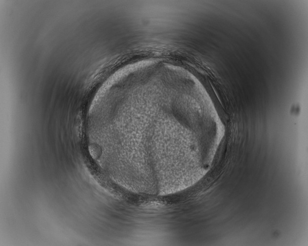 X0000115370594200911241242