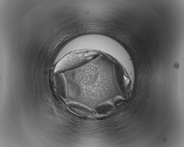 X0000115370595200911241242