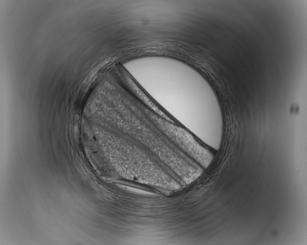 X0000115370597200911241242