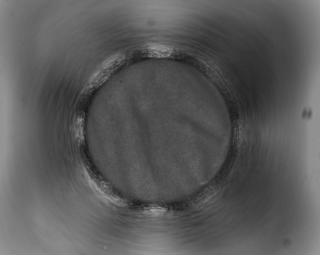 X0000115370598200911241242