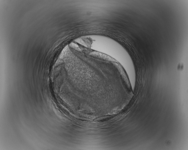 X0000115370599200911241242