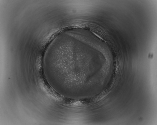 X0000115370600200911241242